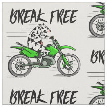 Zwart-wit koe breekt los