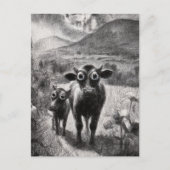 Zwart-wit Koeien met brede ogen Briefkaart (Voorkant)