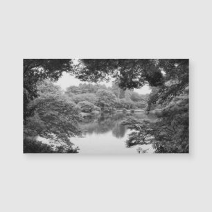 Zwart-wit, koel, unieke natuur en meer