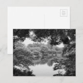 Zwart-wit, koel, unieke natuur en meer briefkaart (Voorkant / Achterkant)