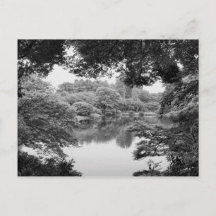 Zwart-wit, koel, unieke natuur en meer briefkaart