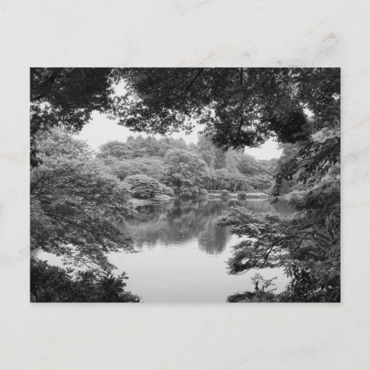 Zwart-wit, koel, unieke natuur en meer briefkaart (Voorkant)