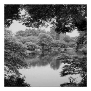 Zwart-wit, koel, unieke natuur en meer poster