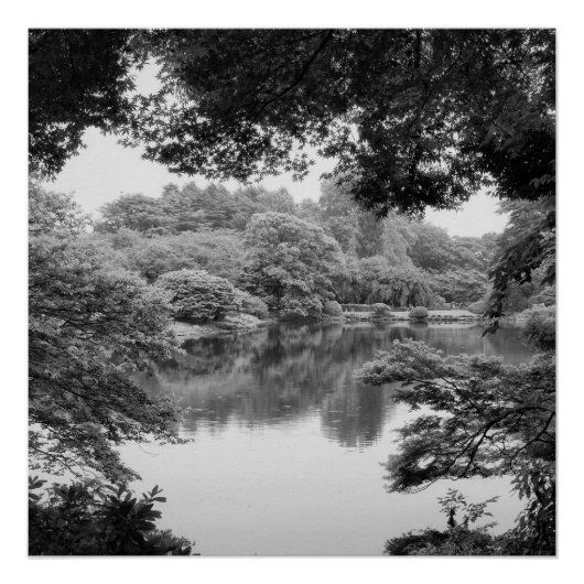 Zwart-wit, koel, unieke natuur en meer poster (Voorkant)