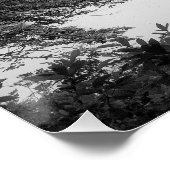Zwart-wit, koel, unieke natuur en meer poster (Hoek)