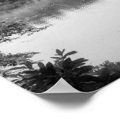 Zwart-wit, koel, unieke natuur en meer poster (Hoek)