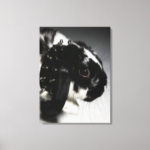 Zwart-wit konijn met onderzeese kraag canvas afdruk