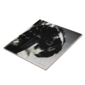 Zwart-wit konijn met onderzeese kraag tegeltje (Zijkant)