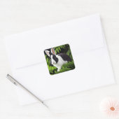 Zwart-Wit Konijn Vierkante Sticker (Envelop)