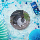 Zwart-wit konijnenpapier bord (Feest)