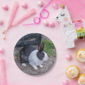 Zwart-wit konijnenpapier bord (Feest)