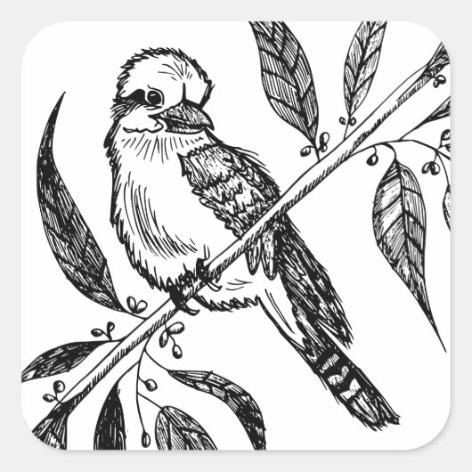 Zwart & Wit Kookaburra op Tak Tekening Vierkante Sticker (Voorkant)