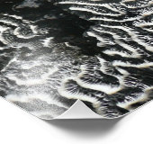 Zwart-wit koraal I Abstracte Natuur Foto Afdruk (Hoek)