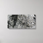 Zwart-wit koraal I Abstracte Natuur Foto Canvas Afdruk (Voorkant)