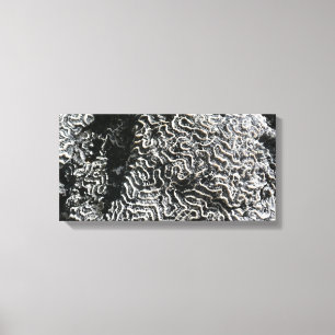 Zwart-wit koraal I Abstracte Natuur Foto Canvas Afdruk
