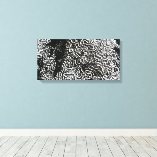 Zwart-wit koraal I Abstracte Natuur Foto Canvas Afdruk (Insitu (Houten vloer))