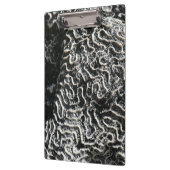 Zwart-wit koraal I Abstracte Natuur Foto Klembord (Links)