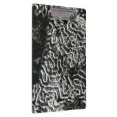 Zwart-wit koraal I Abstracte Natuur Foto Klembord (Rechts)