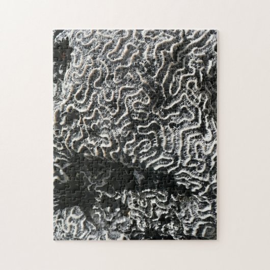 Zwart-wit koraal I Abstracte Natuur Foto Legpuzzel (Verticaal)