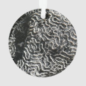 Zwart-wit koraal I Abstracte Natuur Foto Ornament (achterkant)