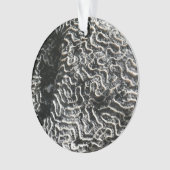 Zwart-wit koraal I Abstracte Natuur Foto Ornament (voorkant)