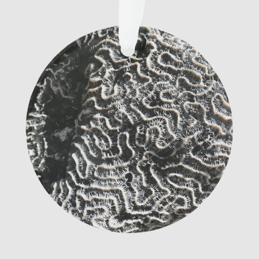 Zwart-wit koraal I Abstracte Natuur Foto Ornament (voorkant)