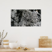 Zwart-wit koraal I Abstracte Natuur Foto Poster (Keuken)