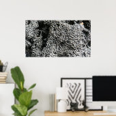 Zwart-wit koraal I Abstracte Natuur Foto Poster (Thuiskantoor)