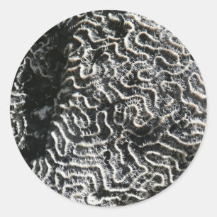 Zwart-wit koraal I Abstracte Natuur Foto Ronde Sticker