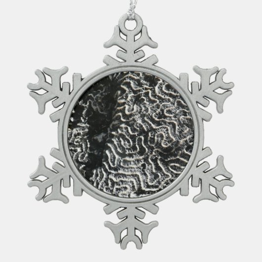 Zwart-wit koraal I Abstracte Natuur Foto Tin Sneeuwvlok Ornament (Voorkant)