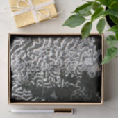 Zwart-wit koraal I Abstracte Natuur Foto Tissuepapier (Geschenk)