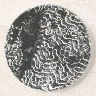 Zwart-wit koraal I Abstracte Natuur Foto Zandsteen Onderzetter