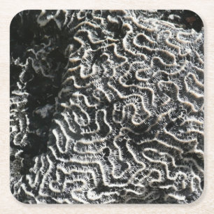 Zwart-wit koraal I Abstracte natuurfoto Kartonnen Onderzetters