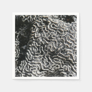Zwart-wit koraal I Abstracte natuurfoto Servetten