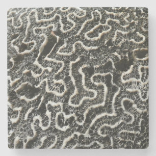Zwart-wit koraal I Abstracte natuurfoto Stenen Onderzetter