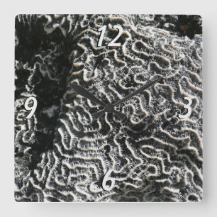 Zwart-wit koraal I Abstracte natuurfoto Vierkante Klok