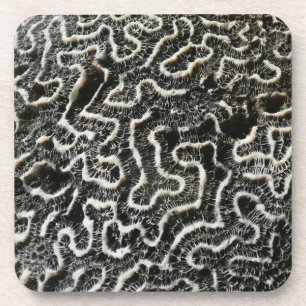 Zwart-wit koraal II Abstracte natuurfoto Bier Onderzetter