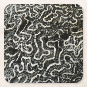 Zwart-wit koraal II Abstracte natuurfoto Kartonnen Onderzetters