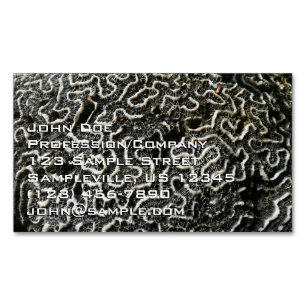 Zwart-wit koraal II Abstracte natuurfoto Magnetisch Visitekaartje