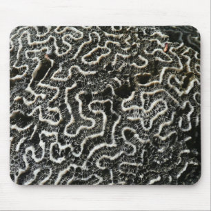 Zwart-wit koraal II Abstracte natuurfoto Muismat