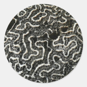 Zwart-wit koraal II Abstracte natuurfoto Ronde Sticker
