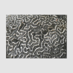 Zwart-wit koraal II Abstracte natuurfoto Tissuepapier