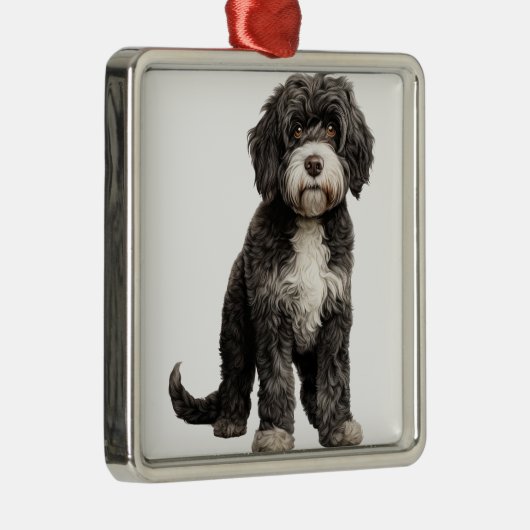ZWART-WIT KRULLENDE PORTUGESE WATERHOND METALEN ORNAMENT (Rechts)