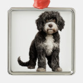 ZWART-WIT KRULLENDE PORTUGESE WATERHOND METALEN ORNAMENT (Voorkant)