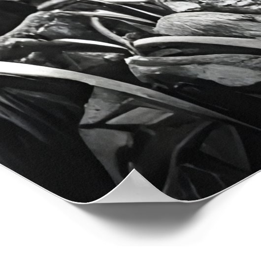 zwart - wit kunstbeest in het bos | AI Art. Poster (Hoek)