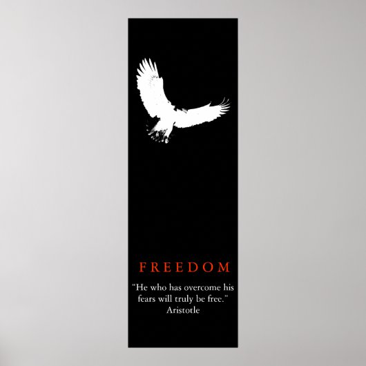 Zwart Wit Landing Kale Eagle Silhouet Poster (Voorkant)
