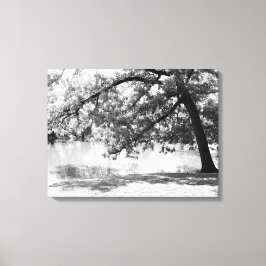 Zwart-wit landschap canvasprint canvas afdruk
