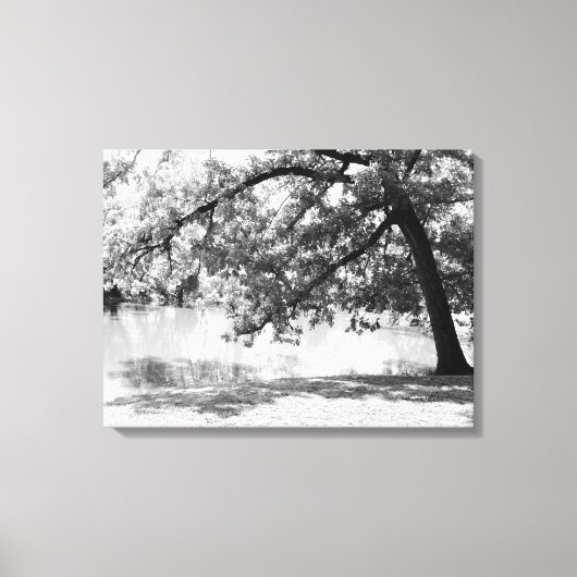 Zwart-wit landschap canvasprint canvas afdruk (Voorkant)