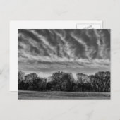 Zwart-wit landschap Foto van Central Park Briefkaart (Voorkant / Achterkant)