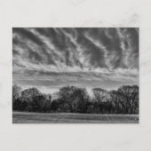 Zwart-wit landschap Foto van Central Park Briefkaart (Voorkant)